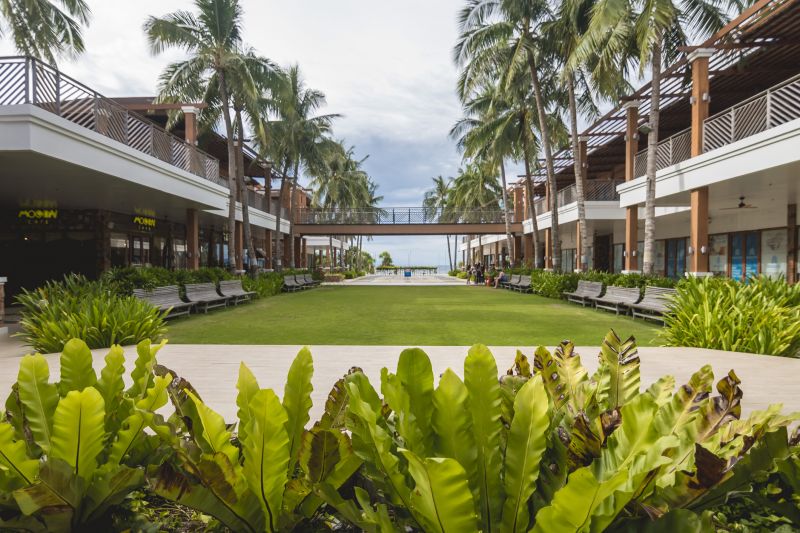 Commercial Lawn Treatment