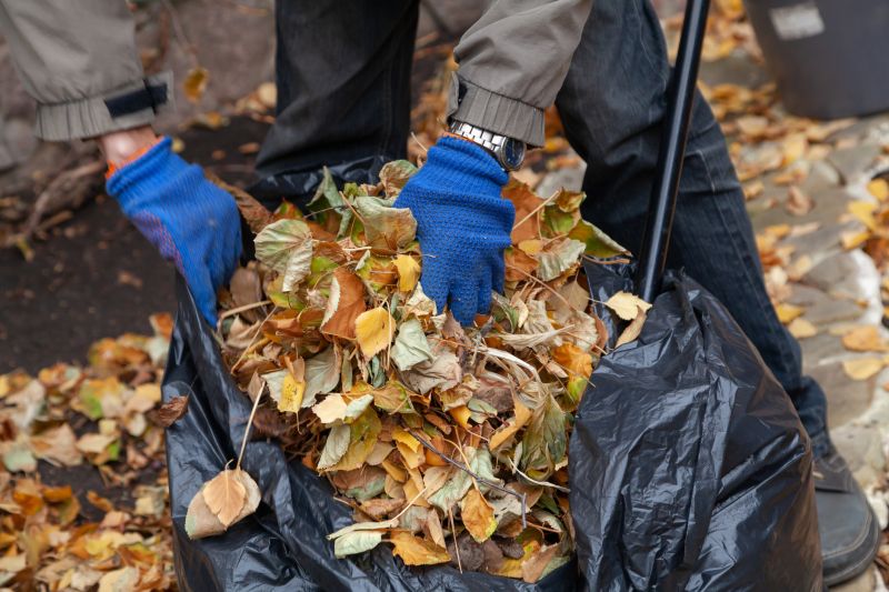 Bagged Leaves