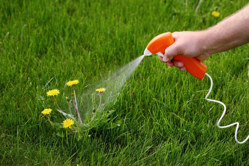 Lawn Herbicide Treatment detail