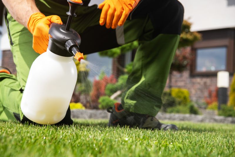 Lawn Weed Treatment Service detail