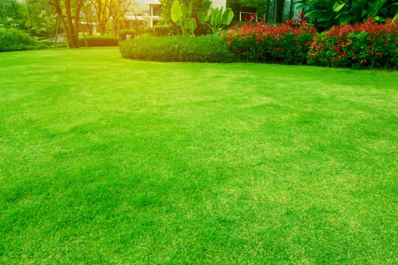 Lawn Health