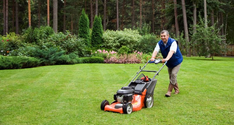 Lawn Care Professionals in Auburn