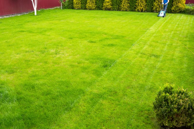 Local Lawn Treatment Providers