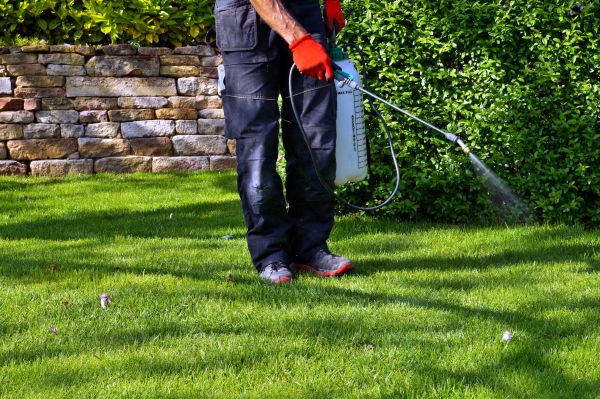 Yard Treatment Service