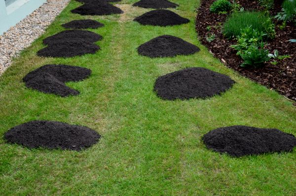 Grass Top Dressing