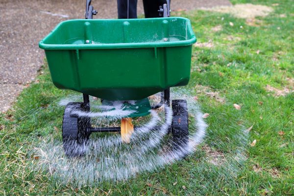 Yard Fertilization in Auburn
