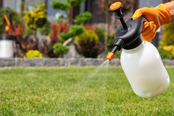 Lawn Disease Eradication