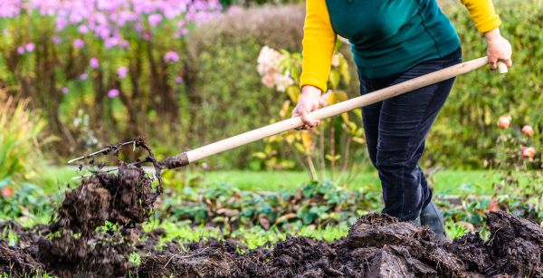 Soil Dressing Service