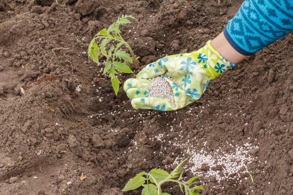 Plant Fertilizing Service