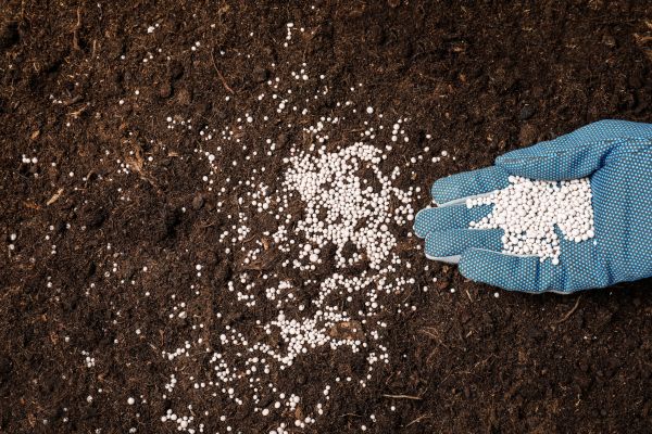 Garden Fertilizing