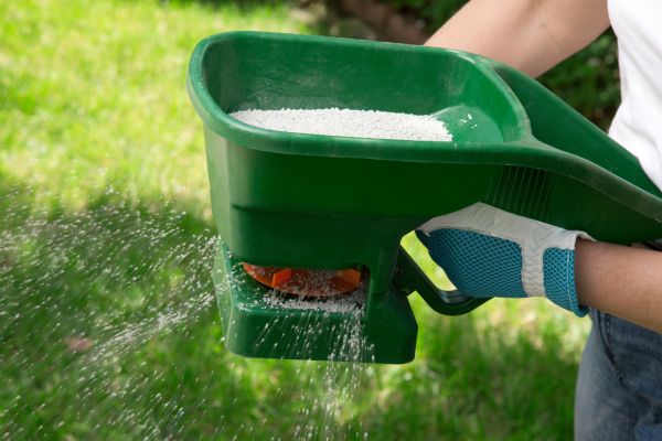 Lawn Nutrition