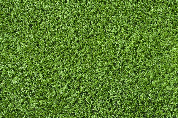 Fall Turf Nutrition