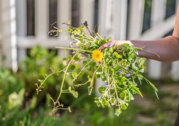 Yard Weed Service