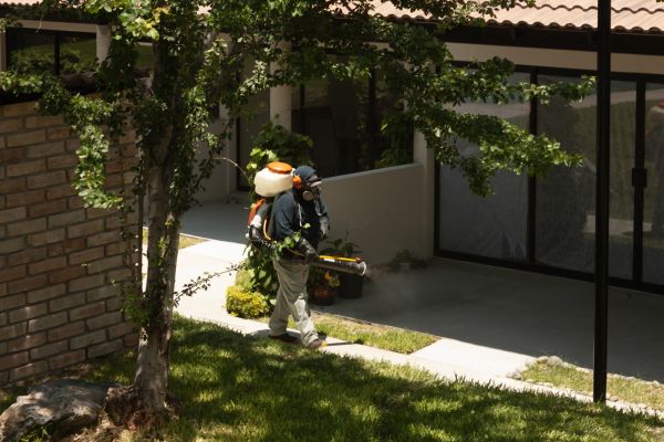 Garden Pest Prevention