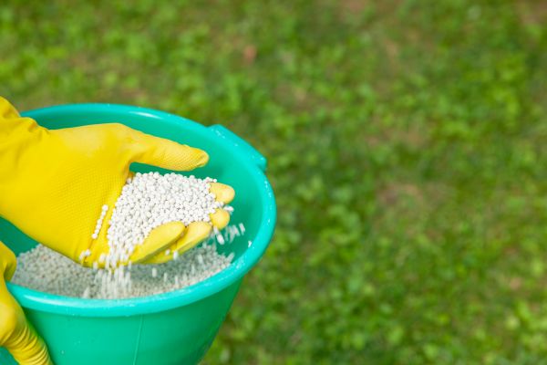 Commercial Lawn Fertilizing Service